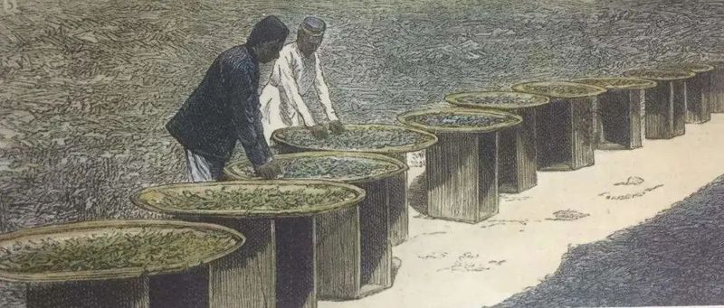关于英国对印度茶文化有着深入骨髓的影响的新闻(1)