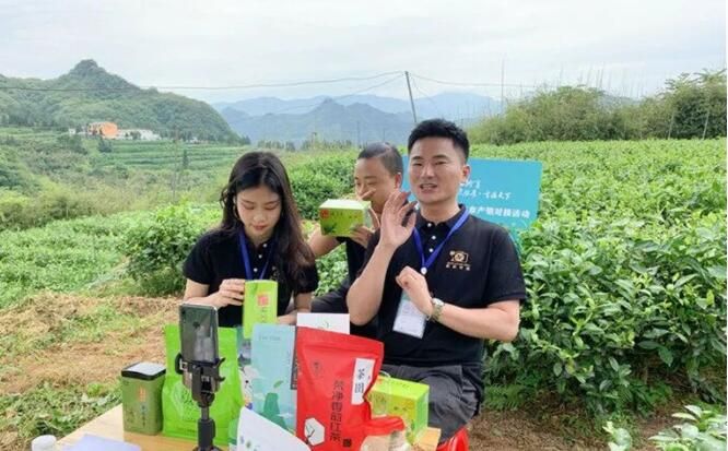 有关于贵州铜仁：小茶叶背后的“大气候”的新闻(2)