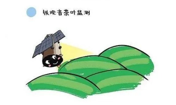 关于闽茶骄傲!“安铁一号”上天了!的内容(2)
