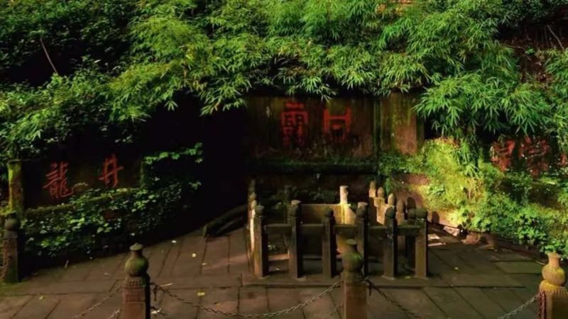 关于2022年蒙顶山茶区:第一背篓茶上市的信息(3)