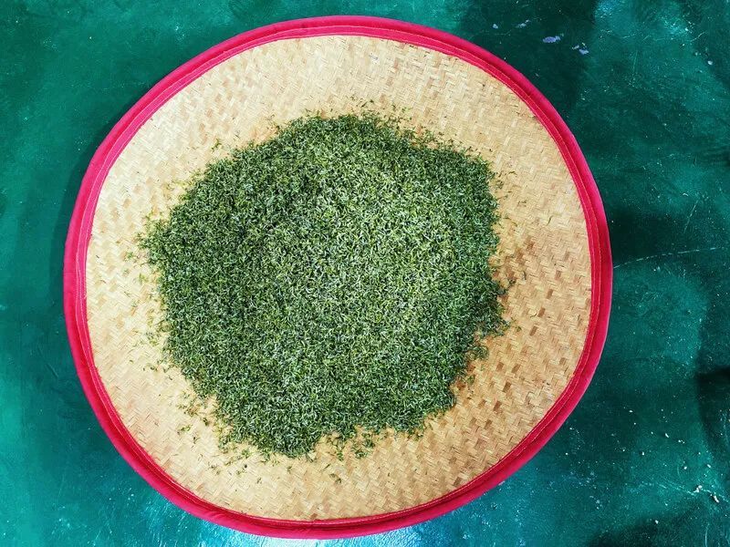 有关于雨城合江村:春茶正飘香 茶农采摘忙的新闻(2)