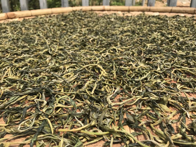 关于2022年云南三线普洱茶山春茶毛料价格的资讯(4)