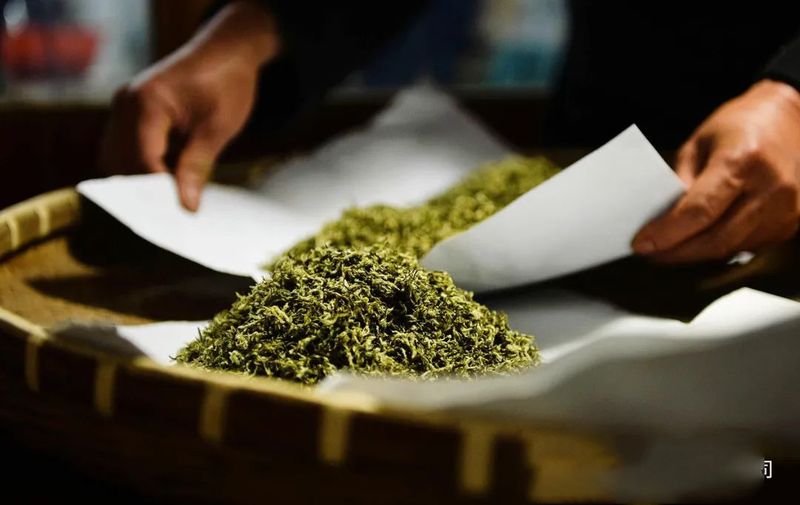 有关于又是一年春好色,碧螺春款款而来的内容(6)