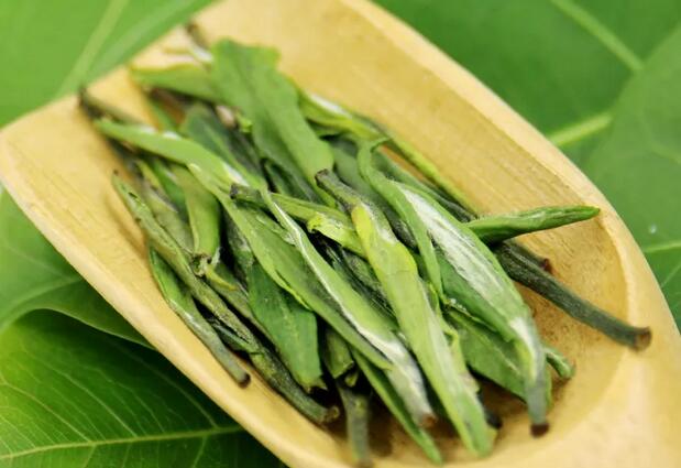 绿茶是热性还是凉性(1)