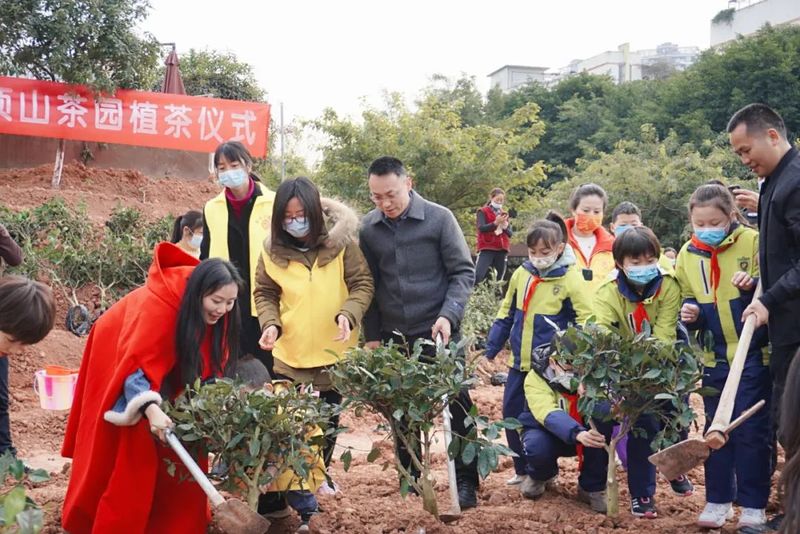 有关于共建共享茶园 助力乡村振兴——茶文化公园蒙顶山茶园植茶仪式今日成功举行的最新消息