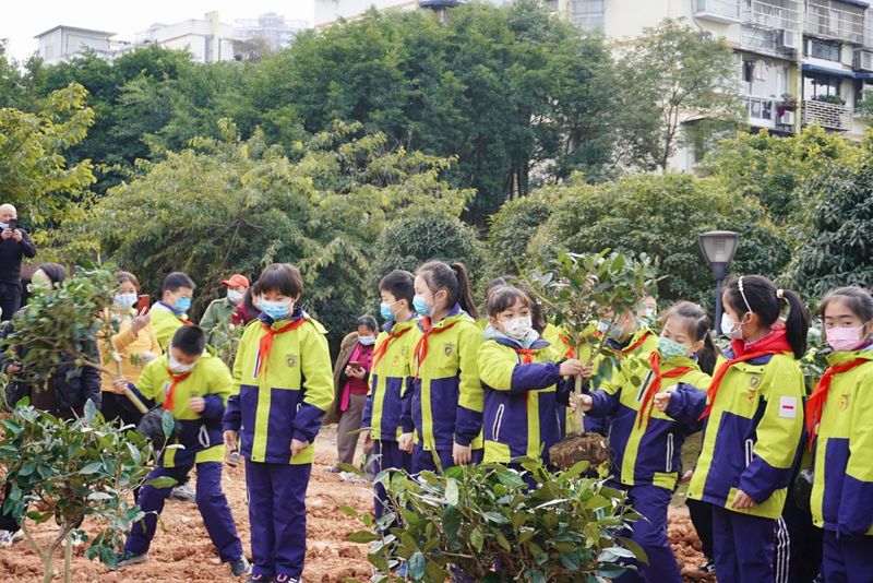 有关于共建共享茶园 助力乡村振兴——茶文化公园蒙顶山茶园植茶仪式今日成功举行的最新消息(1)