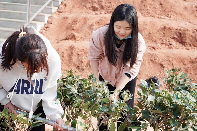 有关于共建共享茶园 助力乡村振兴——茶文化公园蒙顶山茶园植茶仪式今日成功举行的最新消息(11)