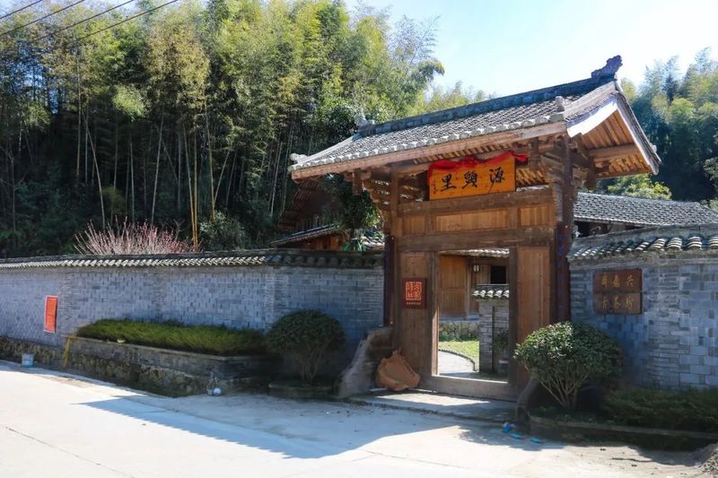关于福鼎湖林村：茶产业托起“振兴梦”的信息(7)