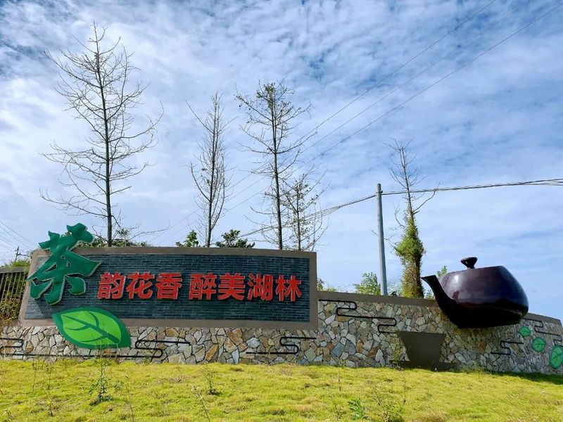 关于福鼎湖林村：茶产业托起“振兴梦”的信息(5)