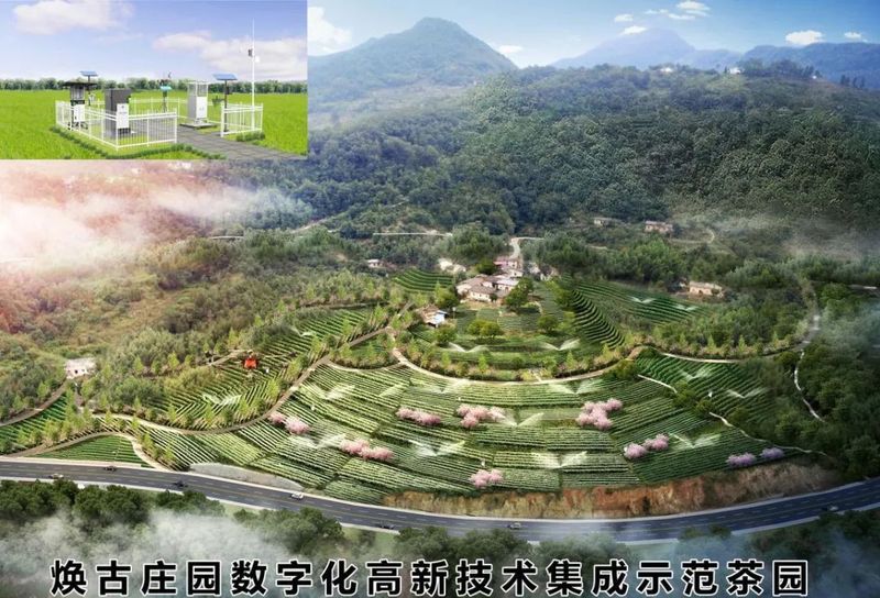 有关于助力紫阳县茶产业——焕古庄园智能生态茶园建设（5G茶园篇）的消息(11)