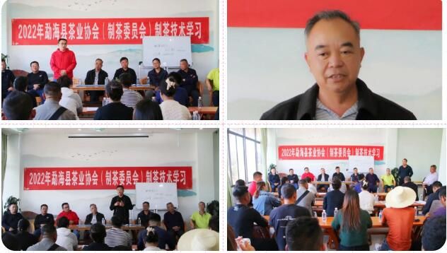 关于勐海县茶业协会开展茶业技术技能培训的相关信息(12)