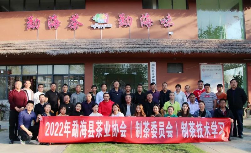 关于勐海县茶业协会开展茶业技术技能培训的相关信息(14)