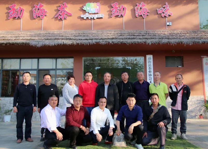 关于勐海县茶业协会开展茶业技术技能培训的相关信息(13)