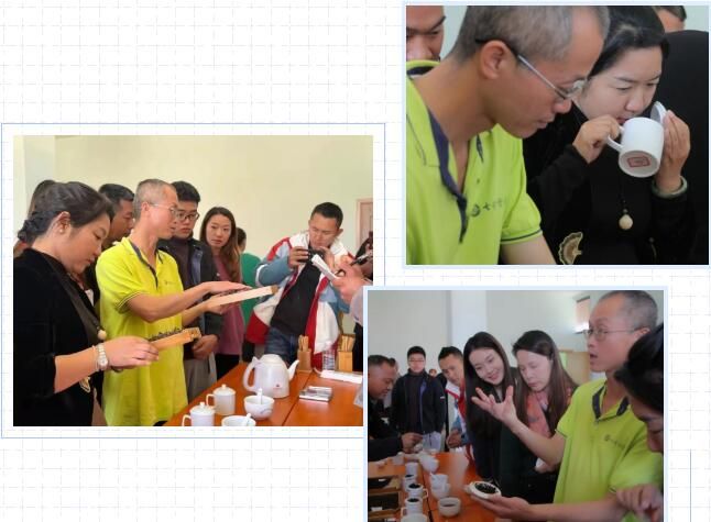 关于勐海县茶业协会开展茶业技术技能培训的相关信息(8)