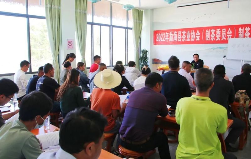 关于勐海县茶业协会开展茶业技术技能培训的相关信息(10)