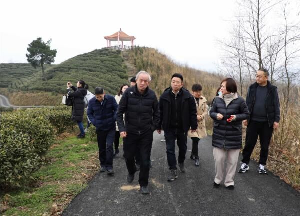 关于贵州省农业农村厅到观山湖区调研茶产业发展情况的最新消息(2)
