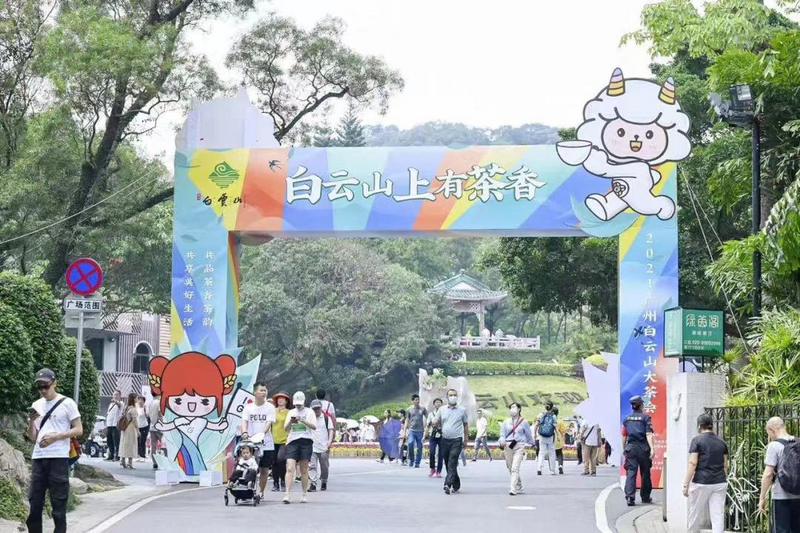 关于广州市文化广电旅游局专题调研茶文化工作的最新消息(1)