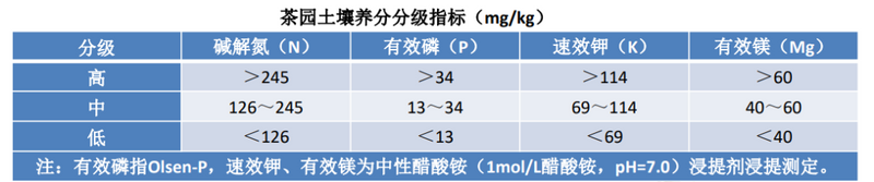 关于春茶季来临，茶园施肥的关键点都在这里的相关信息(2)