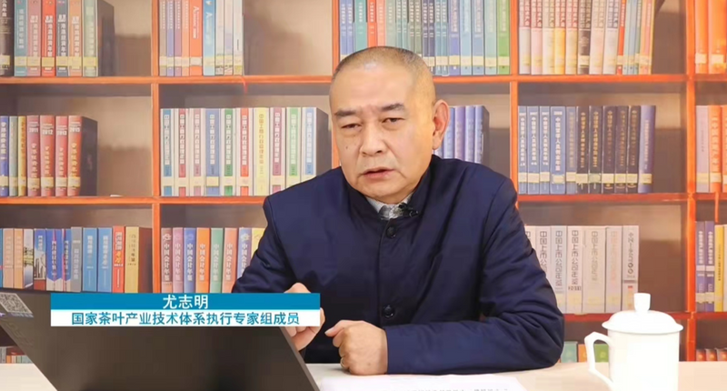 关于春茶季来临，茶园施肥的关键点都在这里的相关信息(3)