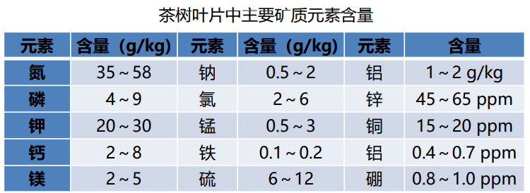 关于春茶季来临，茶园施肥的关键点都在这里的相关信息(1)