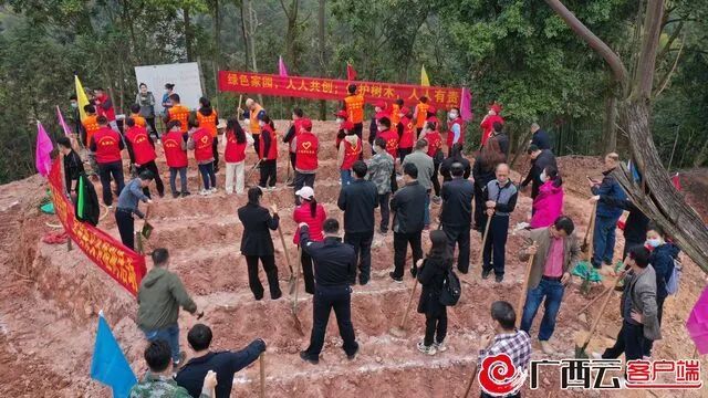 有关于春耕时节种茶忙 扩大规模助力乡村振兴的相关信息(1)