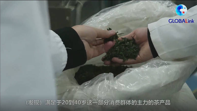 有关于走进大山里的“世界抹茶工厂”——新华社关注贵州抹茶的相关内容