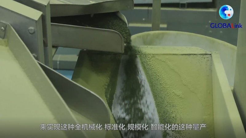 有关于走进大山里的“世界抹茶工厂”——新华社关注贵州抹茶的相关内容(1)