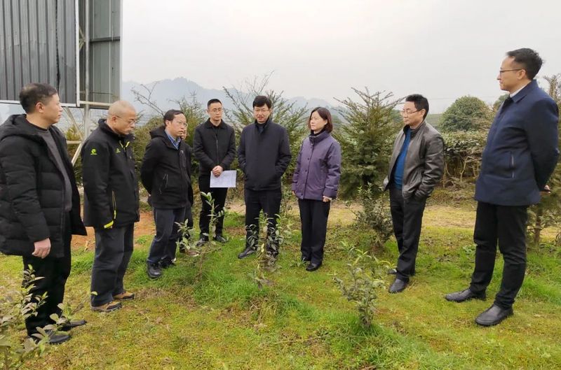 关于浙江大学茶业发展研究院副院长、茶叶研究所所长王岳飞在湄潭考察调研的资讯