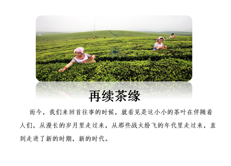 有关于浙江大学湄潭茶叶研究院：开学第一课的相关内容(4)