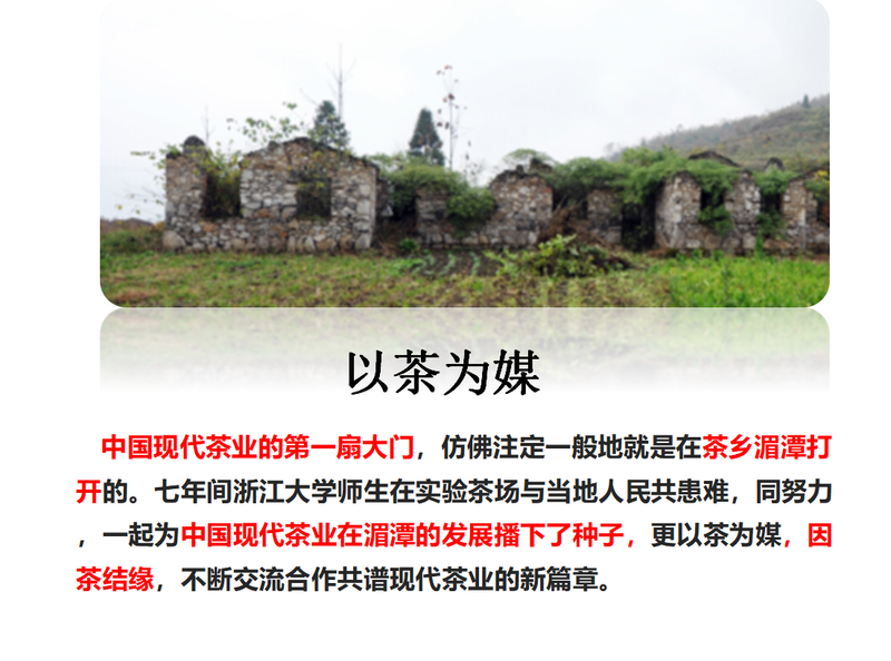 有关于浙江大学湄潭茶叶研究院：开学第一课的相关内容(3)