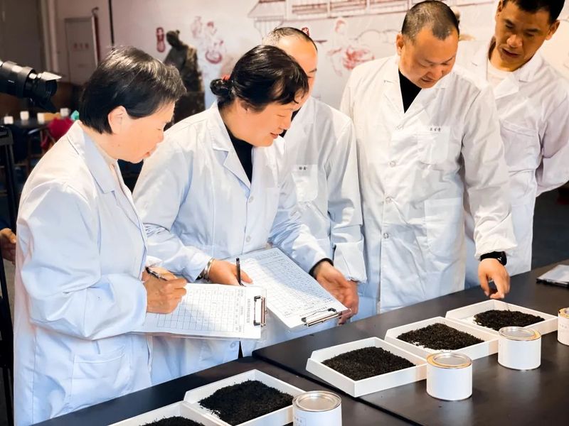 有关于正山堂的相关内容(2)