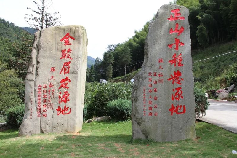 有关于正山堂的相关内容(9)