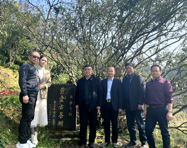 有关于常德市茶文化促进会会长胡友铎一行来湘西调研茶产业的最新消息(1)
