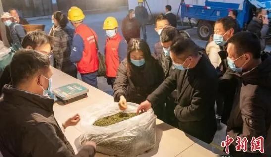 关于四川洪雅30万亩春茶开采陆续上市 春茶行情看涨的最新消息(5)