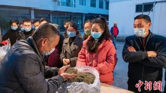 关于四川洪雅30万亩春茶开采陆续上市 春茶行情看涨的最新消息(6)
