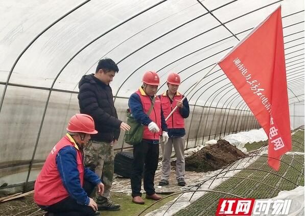 关于长沙沩山茶农“春耕”忙 “电雷锋”走村入户来帮忙的最新消息(1)