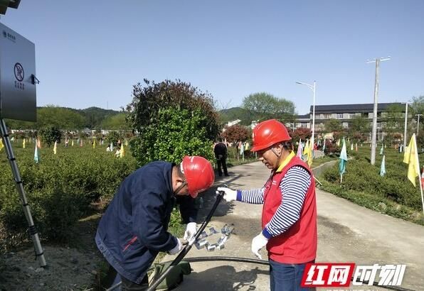 关于长沙沩山茶农“春耕”忙 “电雷锋”走村入户来帮忙的最新消息