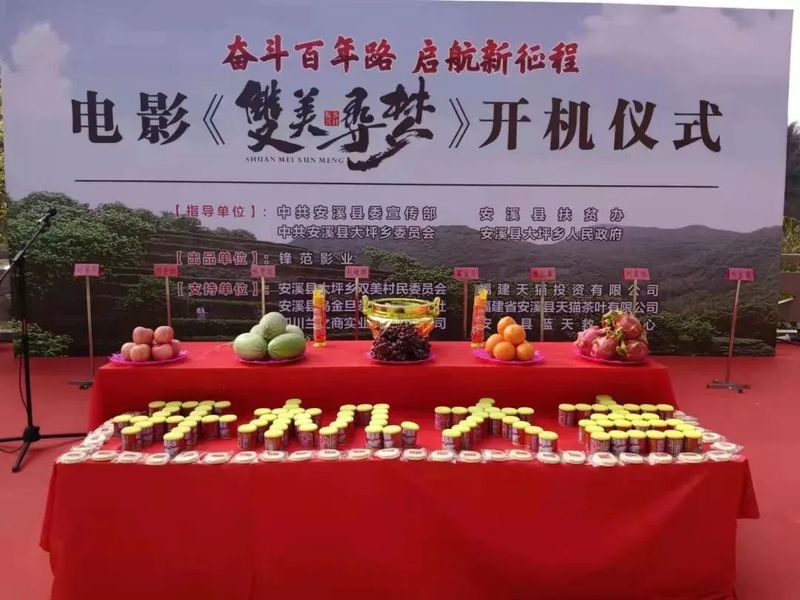 有关于推动大坪乡茶产业发展，电影《双美寻梦》正式开机的相关信息