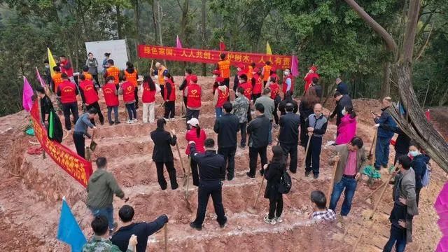关于梧州苍梧:春耕时节种茶忙 扩大规模助力乡村振兴的相关信息(1)