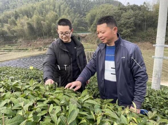 有关于黟县渔亭镇:“对点到户”服务茶农的最新消息