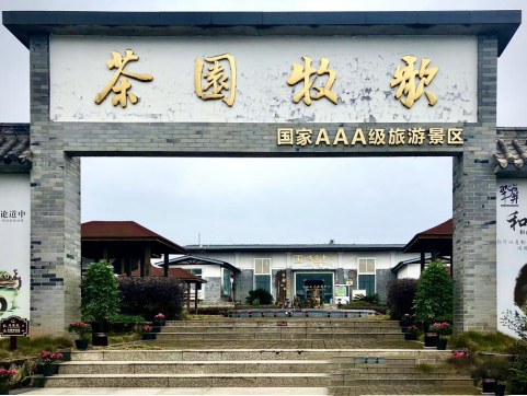 关于优质鲜叶卖出百元 宜宾早春茶“涨”声响亮的消息