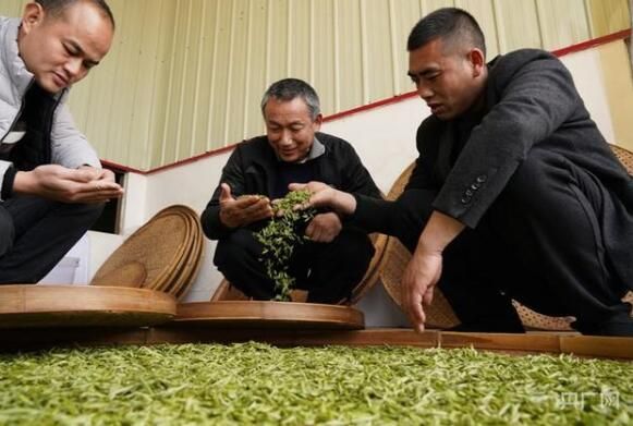 关于江西赣州：春茶开采！感受舌尖上第一缕春天的味道的新闻(2)