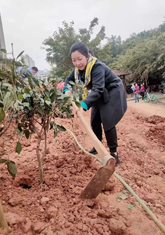 有关于蒙顶山茶园植茶活动在成都市金牛区茶文化公园成功举办的相关信息(4)