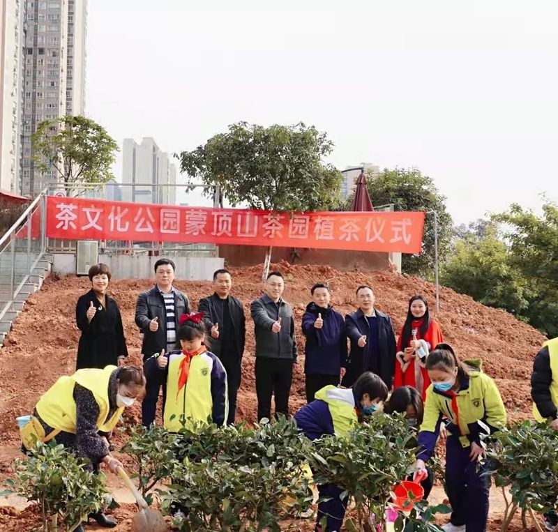有关于蒙顶山茶园植茶活动在成都市金牛区茶文化公园成功举办的相关信息(6)