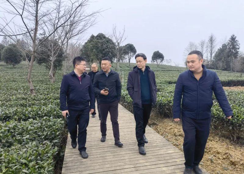 有关于湄潭：县法院服务茶产业高质量发展出新招的相关信息(2)