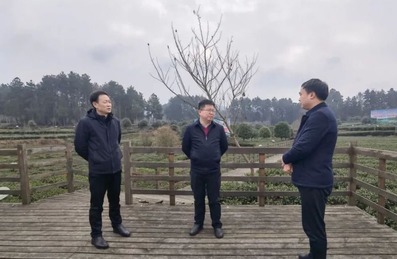 有关于湄潭：县法院服务茶产业高质量发展出新招的相关信息