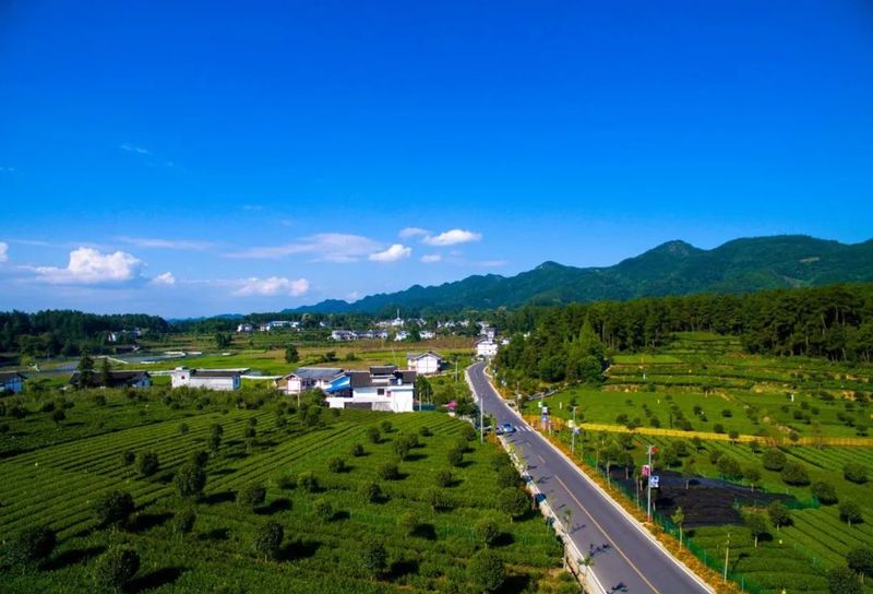 有关于湄潭：县法院服务茶产业高质量发展出新招的相关信息(4)