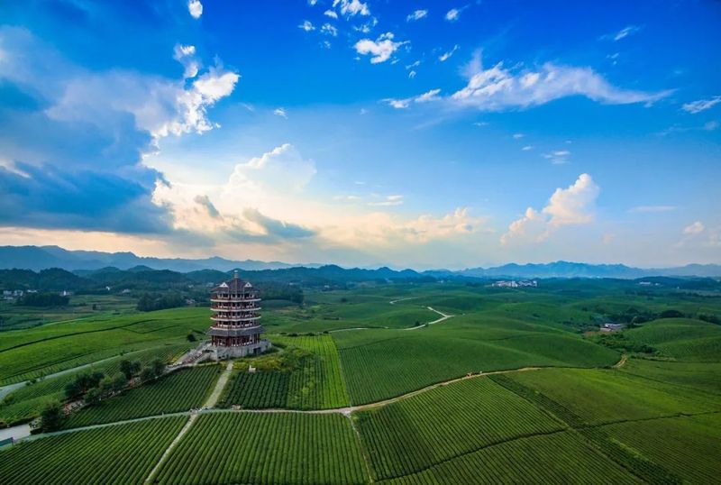 有关于湄潭：县法院服务茶产业高质量发展出新招的相关信息(5)
