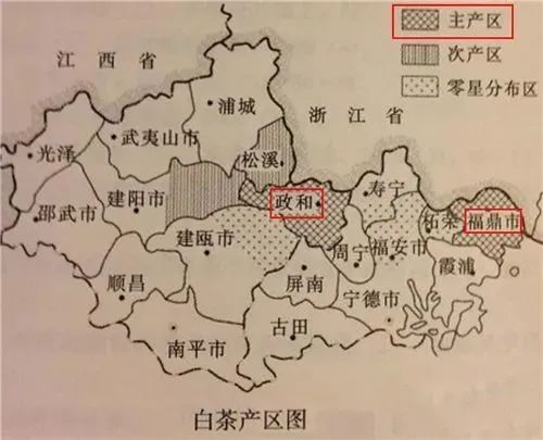 关于福鼎、政和、建阳，福建白茶哪家强？的新闻