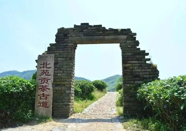 关于福鼎、政和、建阳，福建白茶哪家强？的新闻(3)